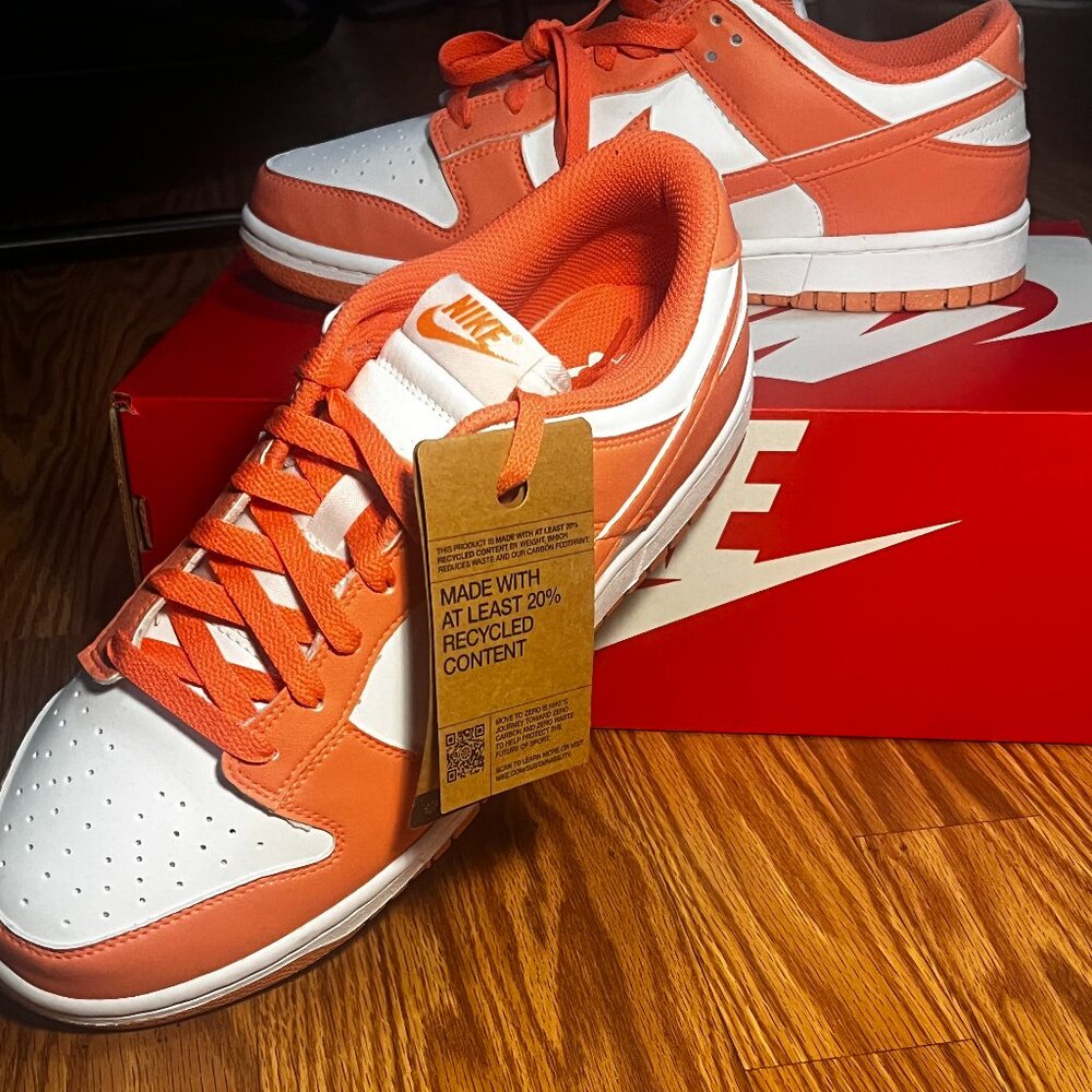 Brand new Nike Dunks can be unisex